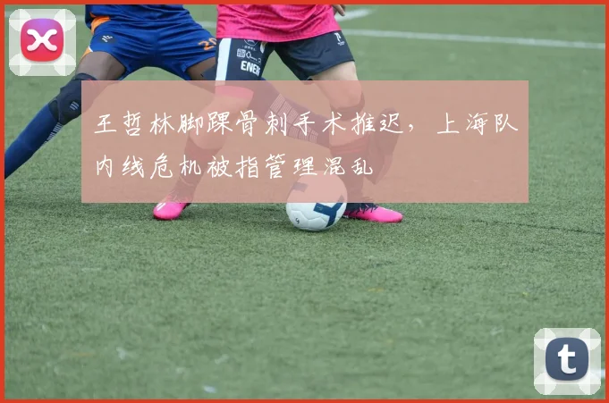 王哲林脚踝骨刺手术推迟,上海队内线危机被指管理混乱